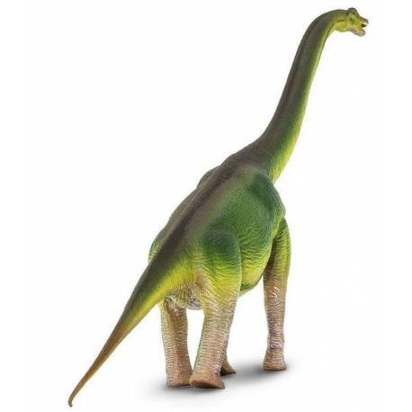 Tyrannosaurus Rex