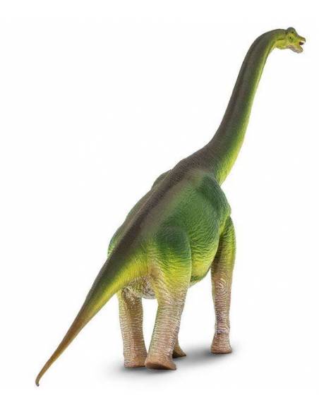 Brachiosaurus  Animales Grandes