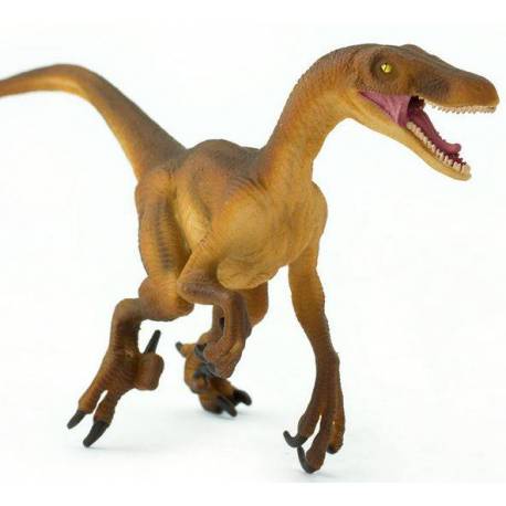 Tyrannosaurus Rex