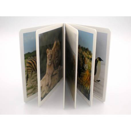 Cuento Imágenes reales - Animales en Familia vol. 2 Nowordbooks Nowordbooks