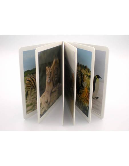 Cuento Imágenes reales - Animales en Familia vol. 2 Nowordbooks Nowordbooks