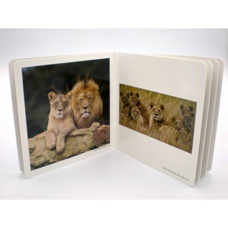 Cuento Imágenes Animales en Familia 2 Cartón 2