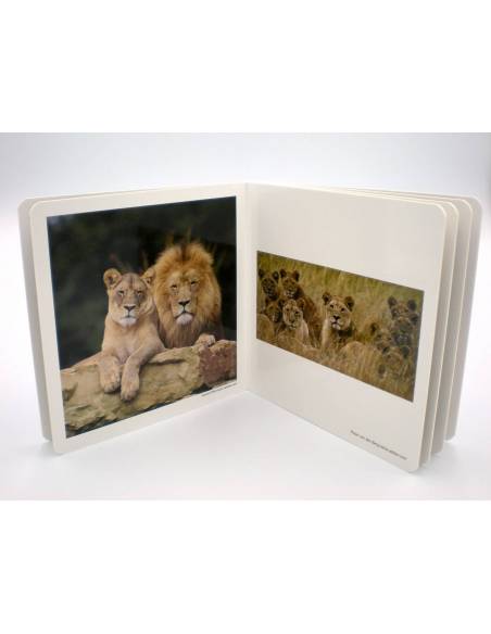 Cuento Imágenes reales - Animales en Familia vol. 2 Nowordbooks Nowordbooks