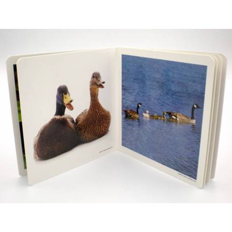 Cuento Imágenes reales - Animales en Familia Nowordbooks Nowordbooks 2