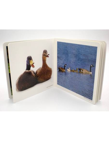 Cuento Imágenes Animales en Familia Cartón