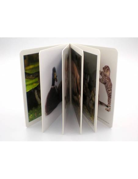 Cuento Imágenes Animales en Familia Cartón