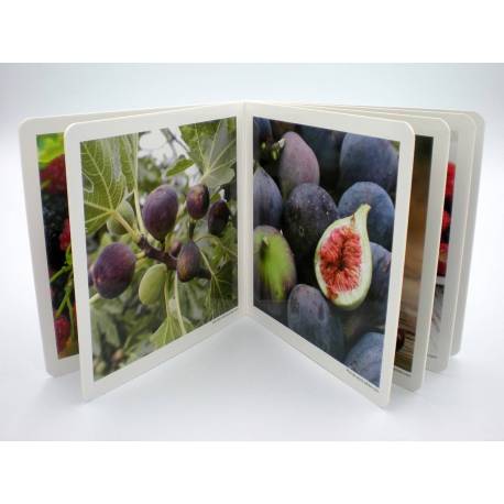 Cuento Imágenes reales - Frutos del Bosque Nowordbooks Nowordbooks 2