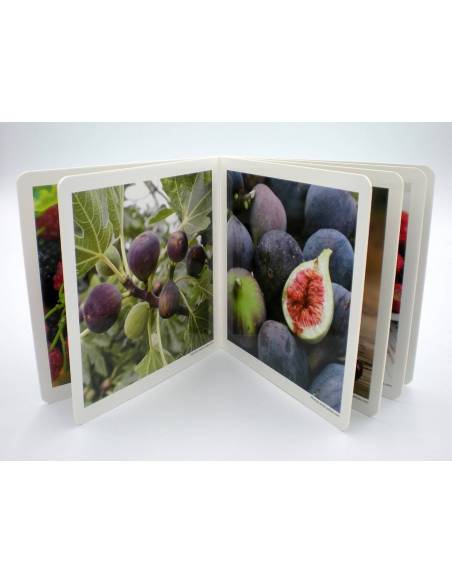 Cuento Imágenes Futos del Bosque Cartón