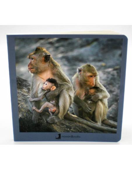 Cuento Imágenes Animales en Familia 2 Cartón