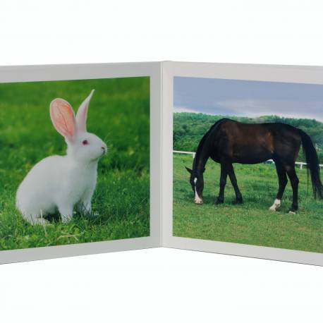 Cuento Imágenes Animales de la Granja Cartón