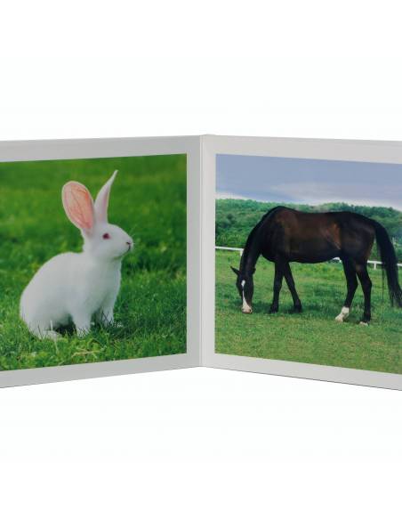 Cuento Imágenes Animales de la Granja Cartón