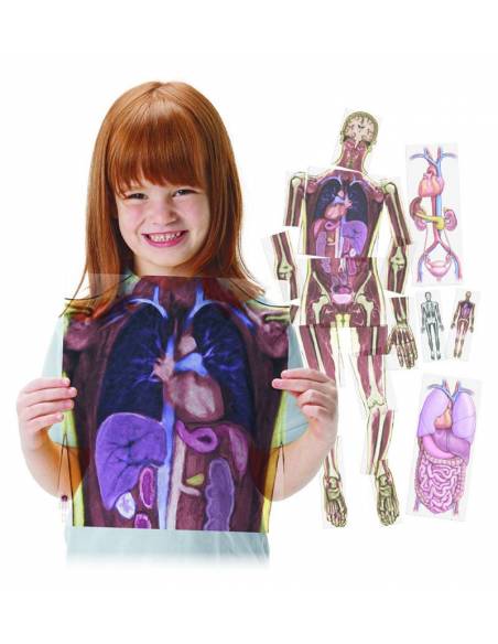Resonancias magnéticas cuerpo humano  Ciencia y medio ambiente