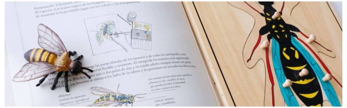 Libros Infantiles Didácticos con Imágenes Reales ¡Comprar Ya!